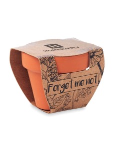 Vasi di terracotta con semi...